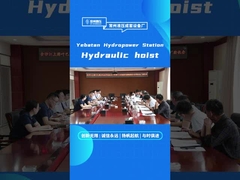 accettazione con successo del sollevamento idraulico e del cilindro idraulico